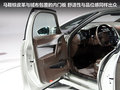 DS 5(进口) 图片