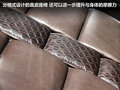 DS 5(进口) 图片
