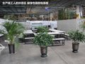 欧朗 图片
