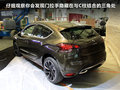 DS 4 图片