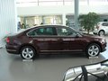 帕萨特 新PASSAT 2.0TSI DSG 至尊版 2011款图片