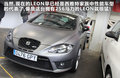 Leon 图片