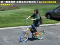 科迈罗 图片