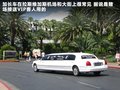 科迈罗 图片