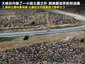 科迈罗 图片