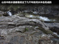 瑞风 图片