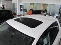 高尔夫(进口) 2011款 2.0TSI DSG 高尔夫R图片
