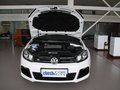 高尔夫(进口) 2011款 2.0TSI DSG 高尔夫R图片