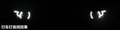 揽胜极光（进口） 图片