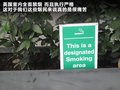 揽胜极光（进口） 图片