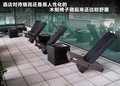 揽胜极光（进口） 图片