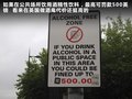 揽胜极光（进口） 图片