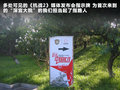 荣威W5 图片