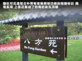 荣威W5 图片