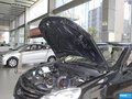 悦动 图片