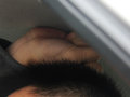 骐达 图片