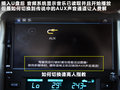 科帕奇(进口) 图片