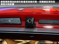 雅尊 图片