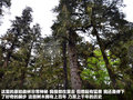 驭胜S350 图片