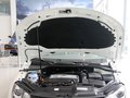 大众EOS EOS 2.0TSI DSG 2011款 图片