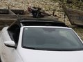 大眾EOS EOS 2.0TSI DSG 2011款圖片
