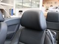 大众EOS 2011款 2.0TSI DSG图片