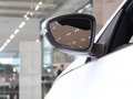 大眾EOS 2011款 2.0TSI DSG圖片