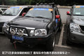 帕拉丁 图片