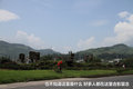 帕拉丁 图片
