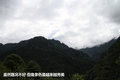 帕拉丁 图片