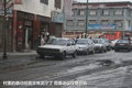 帕拉丁 图片