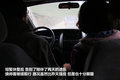 帕拉丁 图片