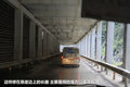 帕拉丁 图片