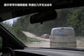 帕拉丁 图片