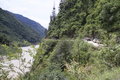 帕拉丁 图片