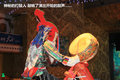 帕拉丁 图片