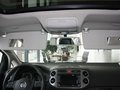 高尔夫(进口) 高尔夫Cross 1.4 TSI DSG 实拍图片