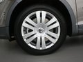 高尔夫(进口) 高尔夫Cross 1.4 TSI DSG 实拍图片