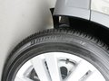 高尔夫(进口) 高尔夫Cross 1.4 TSI DSG 实拍图片