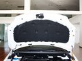 高尔夫(进口) Cross Golf 1.4 TSI DSG 2011款图片