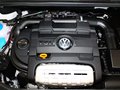 高尔夫(进口) Cross Golf 1.4 TSI DSG 2011款图片