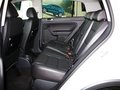 高尔夫(进口) Cross Golf 1.4 TSI DSG 2011款图片