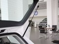 高尔夫(进口) 高尔夫Variant 1.4TSI DSG图片