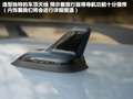 高尔夫(进口) 图片