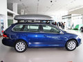 高尔夫(进口) 2011款 1.4TSI DSG 豪华版图片