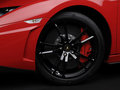 Gallardo 图片