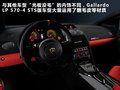 Gallardo 圖片