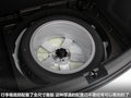 Leon 图片