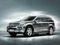 奔驰GL级 2011款 GL450图片