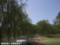 长城C50 图片